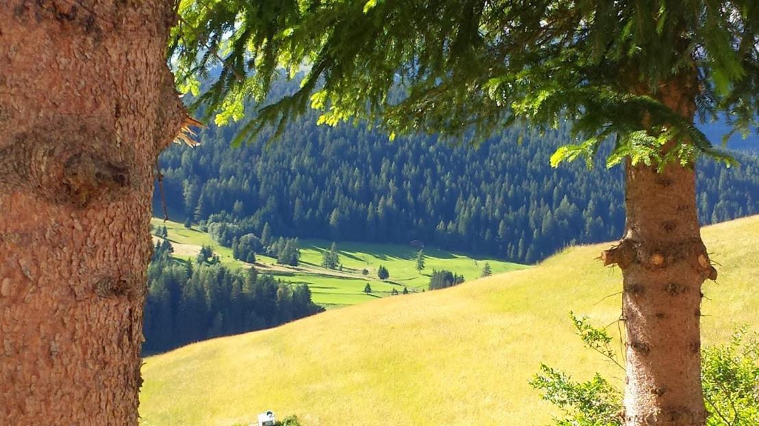 Ciasa Alpina Relax Hotel 2*
