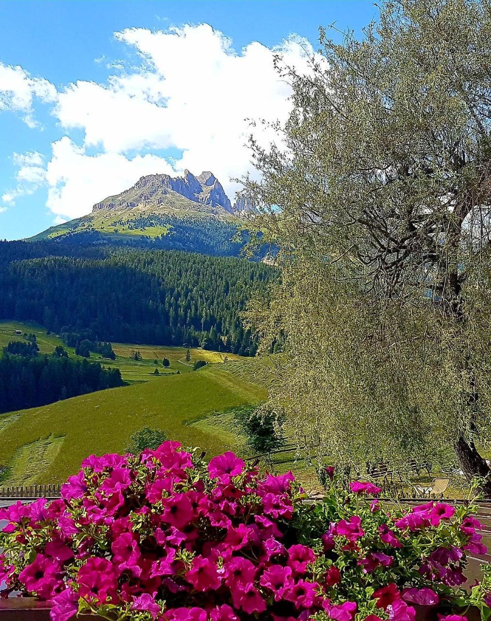 Ciasa Alpina Relax 2* Moena